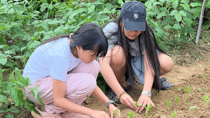 Lớp học làm nông tại vườn rau hữu cơ Kim Hà - Hội An (6)